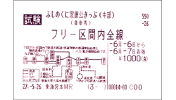 ふじのくに家康公きっぷ・画像