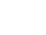 Fares Overview