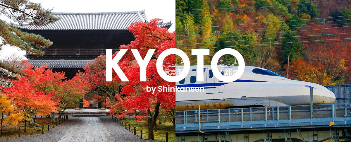 Special Activities by Shinkansen - Member's exclusive offer is ready.